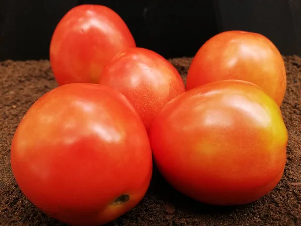 Frische Tomaten Auf Dunklem Hintergrund — Stockfoto