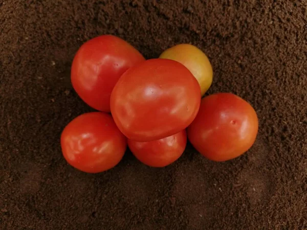 Frische Tomaten Auf Dunklem Hintergrund — Stockfoto