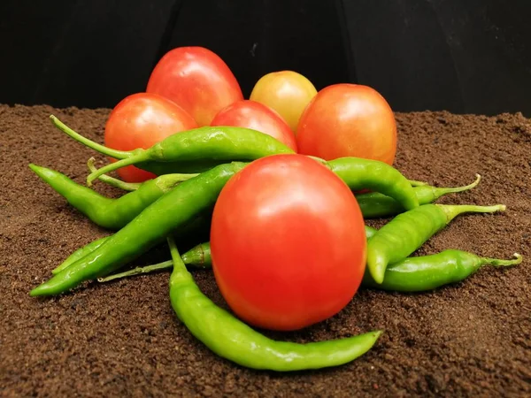 Frische Tomaten Und Chilischoten — Stockfoto