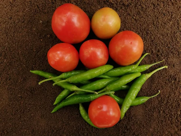 Frische Tomaten Und Chilischoten — Stockfoto