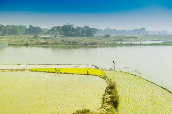 Hermoso Paisaje Rural Campo Paddy Con Río Cielo Azul Fondo — Foto de Stock