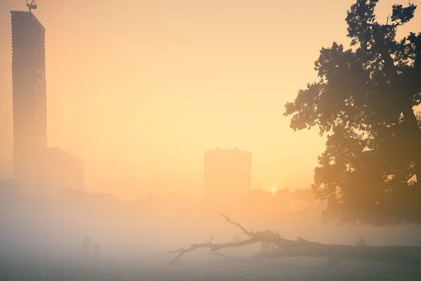 在一个多雾的冬日清晨 加尔各答弥敦市美丽的日出景象 太阳在地平线上升起 与城市的刮胡刀 一棵大树和一棵倒下的树干在前面 — 图库照片
