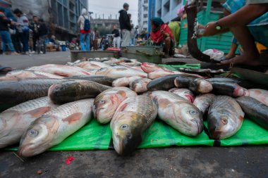 Kolkata, Batı Bengal, Hindistan - 16 Aralık 2019: Rohu, rui, veya roho labeo (Labeo rohita) Hindistan 'da balık tadında popüler bir balık türü. Territy Bazar, Kolkata 'da satışa sunuldu.