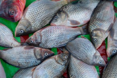 Bhetki or barramundi (Lates calcarifer) or Asian sea bass, is a popular fish among Bengali people, served in festivities like marriages and important social events. For sale at Kolkata, India. clipart