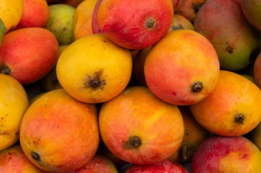 Mangifera çiçekli bitki cinsinden üretilen sulu taş meyveler (drupe) satışa sunuluyor. Bengallilerin en sevdiği yiyecekler, New Market bölgesinde satılıyor, Kolkata, Batı Bengal, Hindistan.