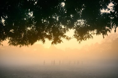 Sisli bir kış sabahı Kolkata Meydanı 'nda gün doğumunun güzel bir görüntüsü. Ağacın gölgesinden vurulan ve yaprakları - Güneş ufuktan yükselir ve voleybol oyuncuları ön planda oynar.
