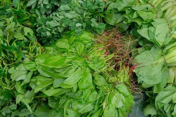 Leaf vegetables, also called leafy greens, salad greens,vegetable greens, or simply greens, are plant leaves eaten as a vegetable, for sale in a market in Territy Bazar, Kolkata, West Bengal, India.