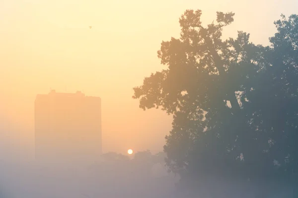 在一个多雾的冬日清晨 加尔各答弥敦市美丽的日出景象 在地平线上升起的太阳 城市的刮胡刀和前景广阔的大树 — 图库照片