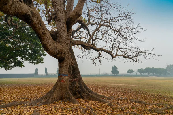 Aparência Deserta Kolkata Maidan Sob Confinamento Devido Vírus Corona Kolkata — Fotografia de Stock