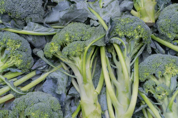 Broccoli Edible Green Plant Vegetables Sale Market Territy Bazar Kolkata — Stock Photo, Image