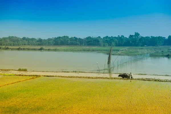 Hermoso Paisaje Rural Campo Paddy Con Río Cielo Azul Fondo — Foto de Stock