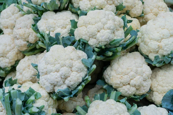 Κουνουπίδι Brassica Oleracea Λαχανικά Προς Πώληση Μια Αγορά Στο Territy — Φωτογραφία Αρχείου