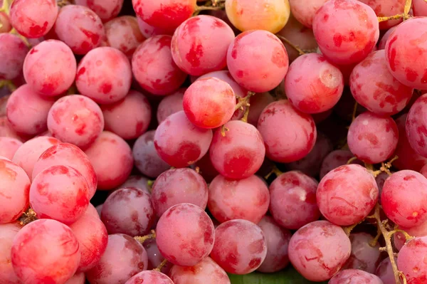 Aalu Bhukhara Owoce Lub Owoce Śliwki Rodzaju Prunus Sprzedawane Obszarze — Zdjęcie stockowe
