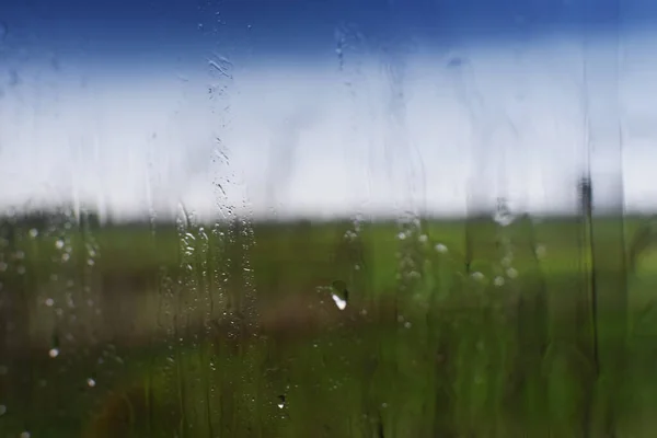 Imagem Abstrata Monção Céu Azul Borrado Com Primeiro Plano Natural — Fotografia de Stock