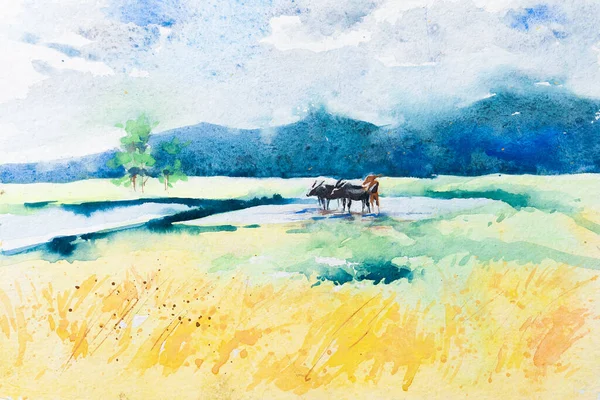 Pintura Aquarela Agradável Agricultor Indiano Arar Campo Agrícola Com Vacas — Fotografia de Stock