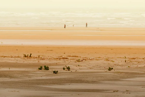 Tajpur Havsstrand Bengaliska Viken Indien Utsikt Över Sanddyner Med Bukten — Stockfoto