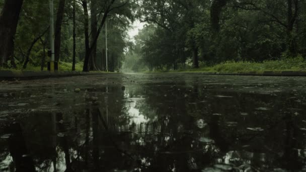 Esőcseppek Hullanak Üres Útra Monszun Felvételek Videó — Stock videók