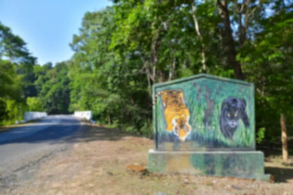 Zamazane Tablice Tygrysa Czarnej Pantery Wewnątrz Lasu Dandeli Anshi Tiger — Zdjęcie stockowe