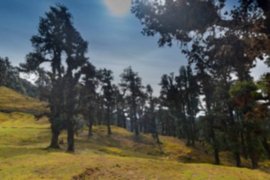 Güneşin Bugal 'da, Alp çayırlarında ya da Himalayalar' ın Uttarakhand 'daki yüksek rakımlı çayırlarında parlayışının bulanık görüntüsü, doğanın kendi bahçeleri olarak adlandırılır. Tunganat 'taki Himalayalar' ın görüntüsü.