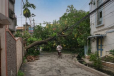 Howrah 'ın bulanık görüntüsü, Batı Bengal, Hindistan. Süper Kasırga Amphan devrilen ve yolu kapatan ağacı söktü. Vatandaş bisikletle tehlikeli bir şekilde hayatını tehlikeye atıyor..