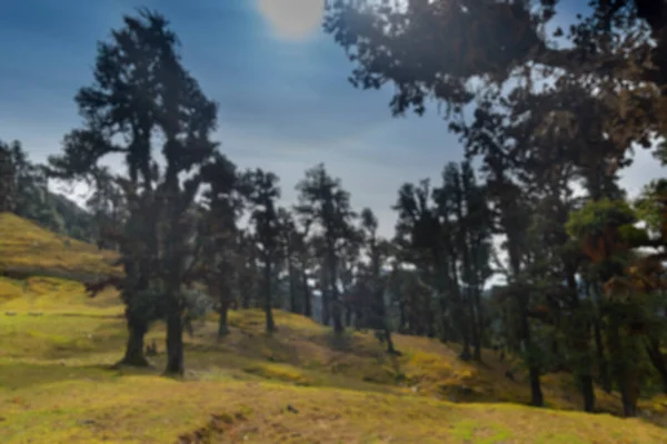 Güneşin Bugal 'da, Alp çayırlarında ya da Himalayalar' ın Uttarakhand 'daki yüksek rakımlı çayırlarında parlayışının bulanık görüntüsü, doğanın kendi bahçeleri olarak adlandırılır. Tunganat 'taki Himalayalar' ın görüntüsü.