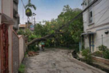Howrah 'ın bulanık görüntüsü, Batı Bengal, Hindistan. Süper Kasırga Amphan devrilen ve yolu kapatan ağacı söktü. Vatandaş bisikletle tehlikeli bir şekilde hayatını tehlikeye atıyor..