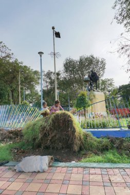 Kolkata, Batı Bengal, Hindistan - 28 Mayıs 2020: İki kız çocuğu Mahatma Gandhi heykelinin önünde, süper kasırga Amphan tarafından sökülmüş bir ağaçta oynuyorlar. Yıkım sonrası hayat yeniden yükseliyor..