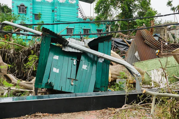 Howrah Bengala Occidental India Mayo 2020 Super Ciclón Árbol Desarraigado — Foto de Stock