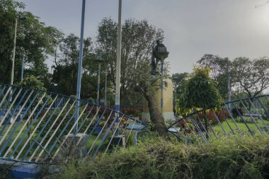 Kolkata, Batı Bengal, Hindistan - 21 Mayıs 2020: Süper Kasırga Amphan arka planda Mahatma Gandhi 'nin heykeline dokunarak yere düşen ağacı kökünden söktü. Kolkata şehrini harap etti..