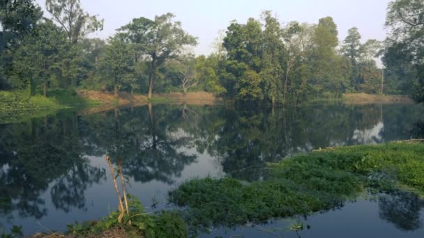 Pohled na jezero, obklopené stromy. Záběry z přírody ve 4K. Howrah, West Bengal, india