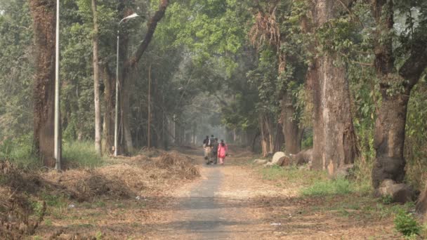 庭で朝の散歩を楽しむ家族 インドの西ベンガル州ハウラー — ストック動画