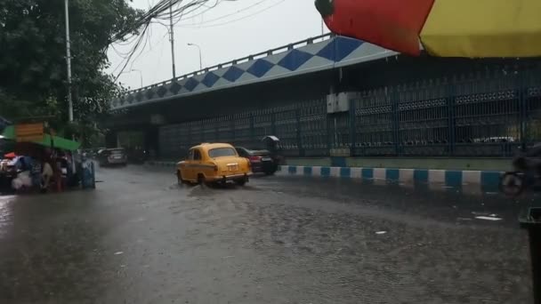 加尔各答 Kolkata 印度西孟加拉邦 2019年8月16日 印度麝香 Indian Museuam 附近的人行道上行走的行人 水浸的道路 黄色出租车从后面经过 — 图库视频影像