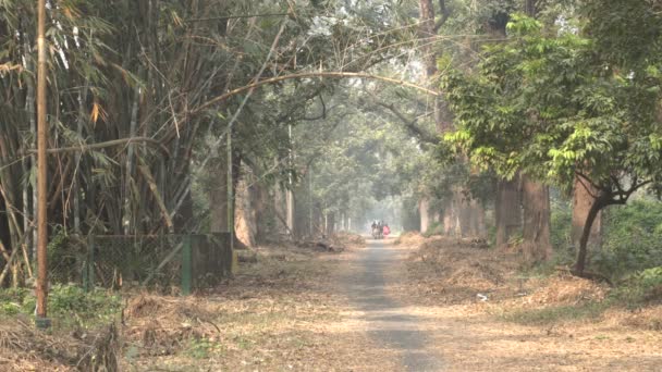 Rodina Užívá Ranní Procházky Zahradě Howrah West Bengal India — Stock video