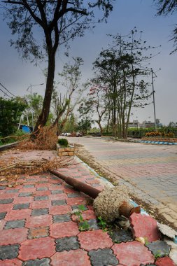 Süper kasırga Amphan Trifala sokak lambasını söktü ve kaldırımı kapattı. Yıkım, devlete birçok zarar verdi. Howrah, West Bengal, Hindistan 'da çekilmiş. .