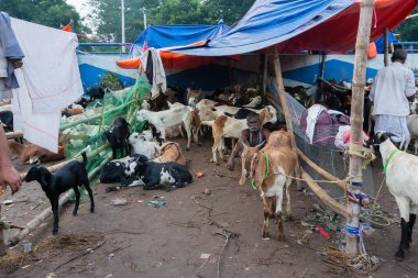 Kolkata, Batı Bengal, Hindistan - 11 Ağustos 2019: 