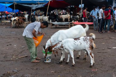 Kolkata, Batı Bengal, Hindistan - 11 Ağustos 2019: 