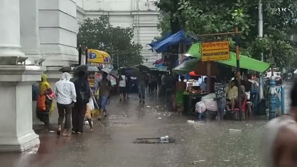 Kolkata Bengala Occidental India Agosto 2019 Peatones Caminando Por Sendero — Vídeos de Stock