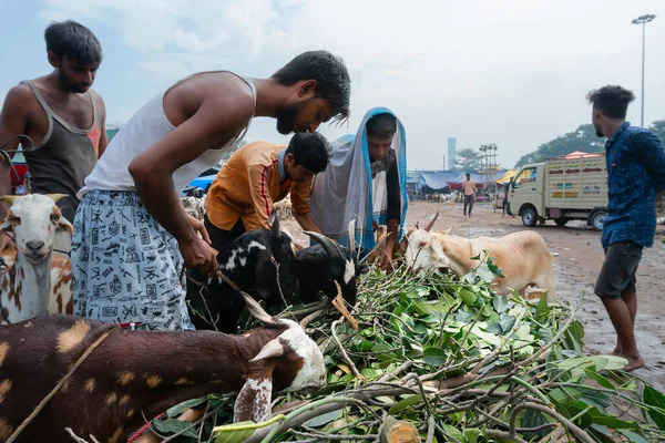 Kolkata, Batı Bengal, Hindistan - 11 Ağustos 2019: 