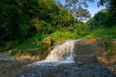 Küçük bir şelale, taşlı bir dağ yüzeyinden akan bir şelale, Sikkim, Hindistan. Sikkim küçük ve büyük şelalelerle dolu..