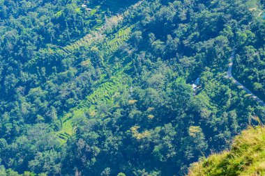 Step cultivation of Himalayan mountains below, view from top of Tarey Bhir point, favourite tourist spot, Sikkim, India. Breathtaking viewpoint at the end of the edge, tourists get spectacular view.