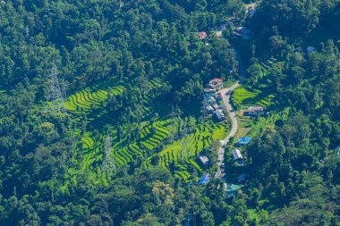 Step cultivation of Himalayan mountains below, view from top of Tarey Bhir point, favourite tourist spot, Sikkim, India. Breathtaking viewpoint at the end of the edge, tourists get spectacular view.