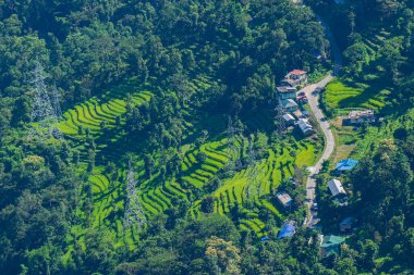 Step cultivation of Himalayan mountains below, view from top of Tarey Bhir point, favourite tourist spot, Sikkim, India. Breathtaking viewpoint at the end of the edge, tourists get spectacular view.