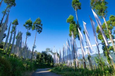 White prayer flags, Buddhist religious symbol, representing air and symbolizing purity, wisdom, and the cutting of ignorance - with sunlit morning light. Way to Rinchenpong Monastery, Sikkim , India