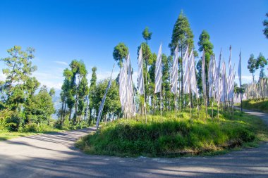 Kavisli yol beyaz dua bayrakları, Budist dini sembolü, havayı temsil eden ve saflığı sembolize eden, bilgeliği ve cehaletin gün ışığında kesilmesi. Rinchenpong, Sikkim, Hindistan