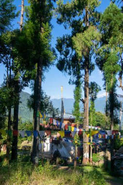 Renkli dua bayrakları, Budist dini sembolü - arkasında okaliptüs ağaçları olan manastır, Himalaya dağları. Rinchenpong, Sikkim, Hindistan