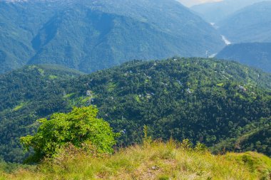 View of Himalayan mountain and forest from Tarey Bhir point, tourist spot, Sikkim, India. 'Bhir' means cliff in the local Nepal language,about 10,000 feet long path, a breathtaking view at the edge.
