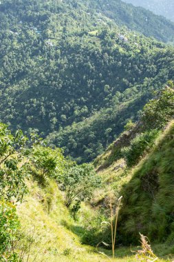 View of Himalayan mountain and forest from Tarey Bhir point, tourist spot, Sikkim, India. 'Bhir' means cliff in the local Nepal language,about 10,000 feet long path, a breathtaking view at the edge.