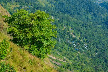 Tarey Bhir noktasından Himalaya dağlarının manzarası, turistik bölge, Sikkim, Hindistan. 'Bhir' kelimesi, yerel Nepal dilinde uçurum anlamına gelir, yaklaşık 3.000 metre uzunluğunda, köşesinde nefes kesici bir manzara..
