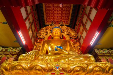 Ralong, Sikkim, Hindistan - 21.10.2016: Goutam Buddha 'nın dini altın heykeli, Budist dini sembolü, Ralong Manastırı, Ralong Palchen Choling, Sikkim, Hindistan. İzinle resim çekimi.