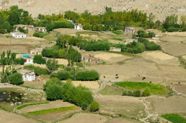Chang La, Büyük Himalaya 'da Ladakh' ta Leh ve Shyok Nehri Vadisi arasında yüksek bir dağ geçididir. Chang La 'dan Pangong Gölü yolundaki Himalaya tarımına ve köyüne bakın..